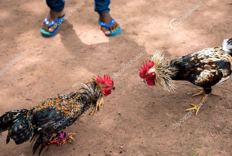 Giải Quyết Vấn Đề Nâng Cao & Lời Khuyên