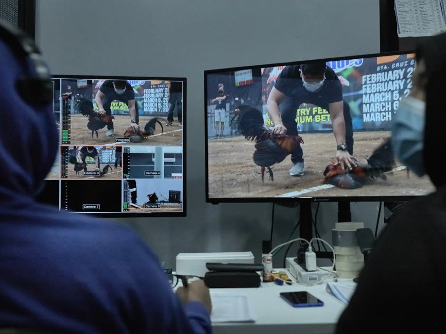 Giải Quyết Vấn Đề & Lời Khuyên Chuyên Gia