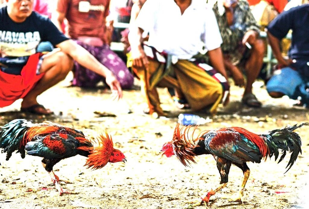 Hướng Dẫn Chi Tiết: Quy Luật Sinh - Khắc Để Chọn Kèo Thơm