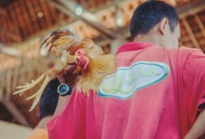 Rèn luyện thể chất: Những "bài tập" đầu đời cho chiến kê tương lai