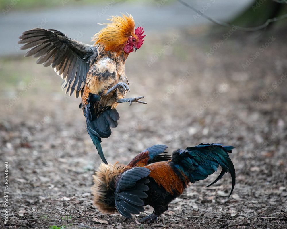 Những tình huống "dở khóc dở cười" khi xem màu mạng